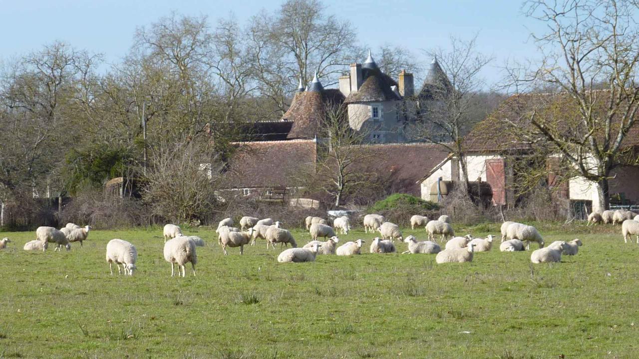 Le Logis Alexandra Bnb La Trimouille Luaran gambar