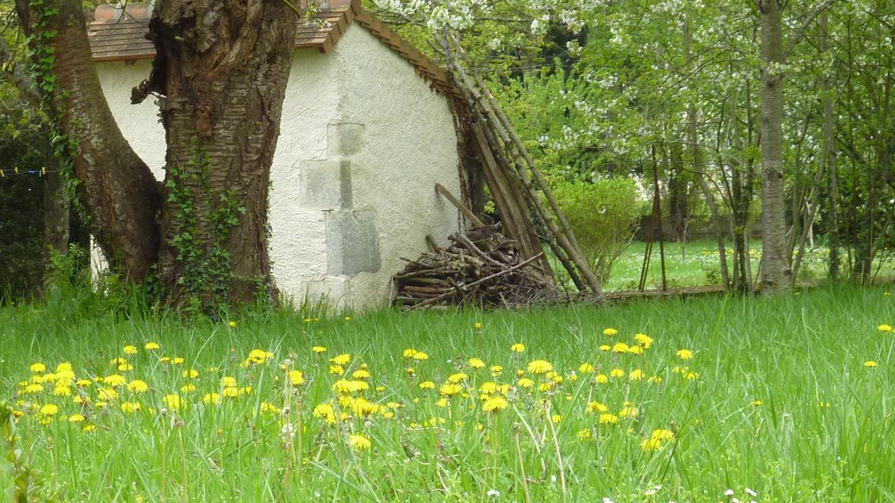 Le Logis Alexandra Bnb La Trimouille Luaran gambar